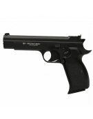 Borner P210 Blowback
